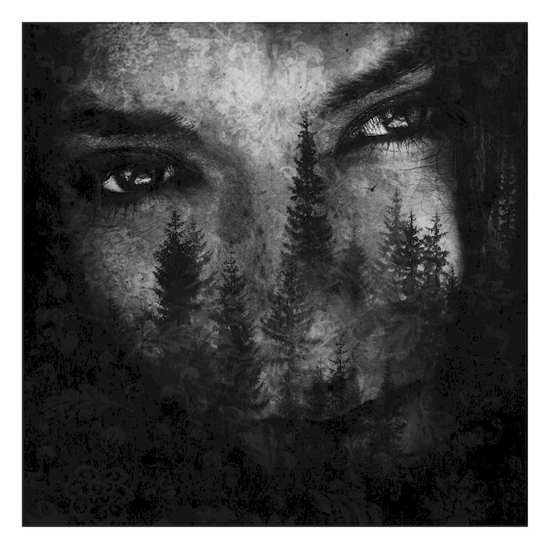 Lustre - The Ashes Of Light - CD