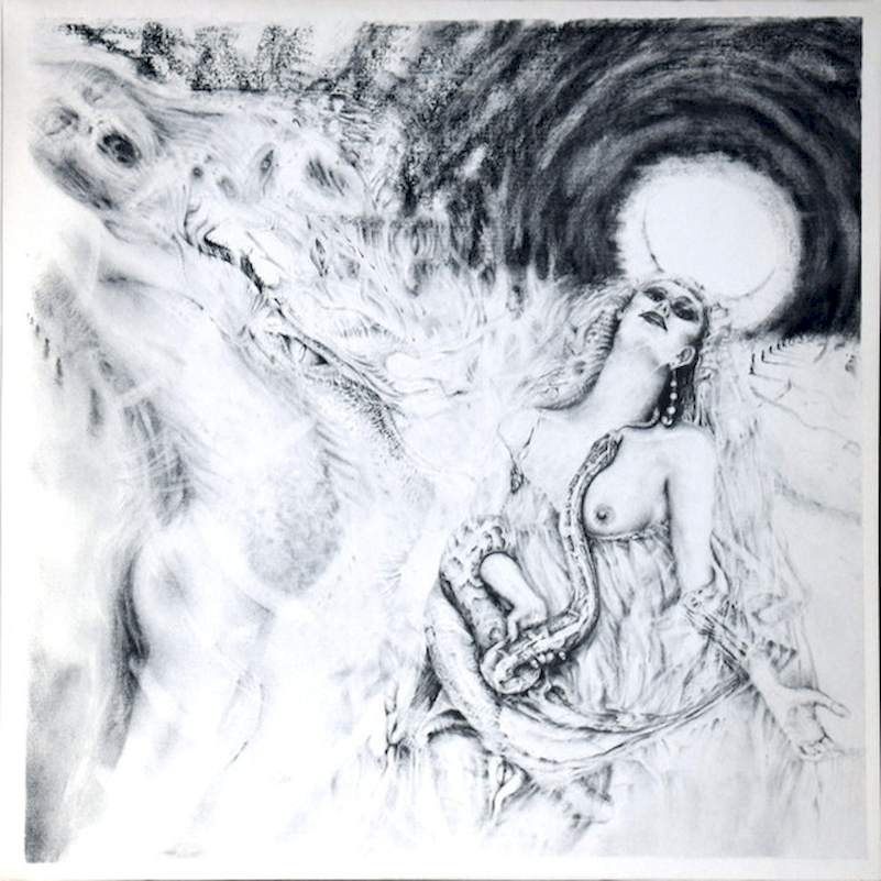 Biota - Rackabones - LP / Vinyl