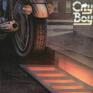 City Boy - The Day The Earth Caught Fire - LP / Vinyl