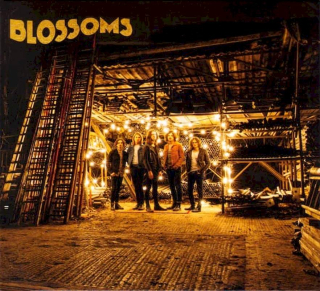 Blossoms - Blossoms - CD