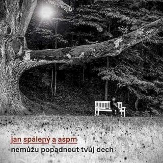 Jan Spálený A ASPM - Nemůžu Popadnout Tvůj Dech  - CD