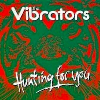 The Vibrators - Hunting For You - CD