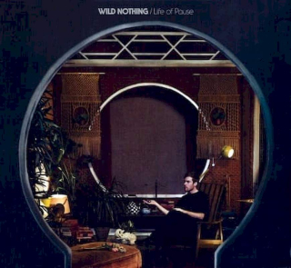 Wild Nothing - Life Of Pause - CD