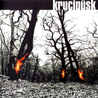 Krucipüsk - Druide! - CD