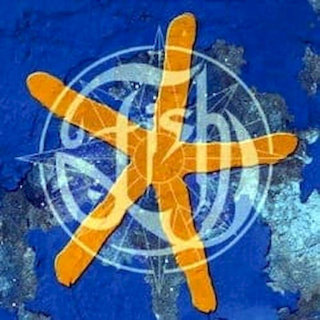 Fish - 13th Star - CD