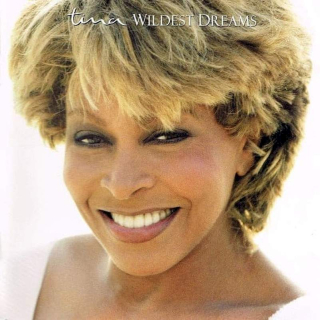 Tina Turner - Wildest Dreams - CD