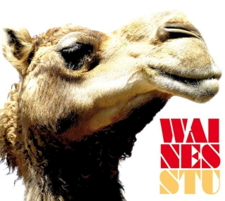 Waines - Stu  - CD