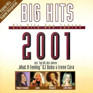 Various - Big Hits - Die Hits Des Jahres 2001  - CD