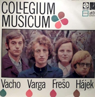 Collegium Musicum - Collegium Musicum - LP / Vinyl