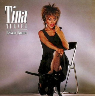Tina Turner - Private Dancer - LP / Vinyl
