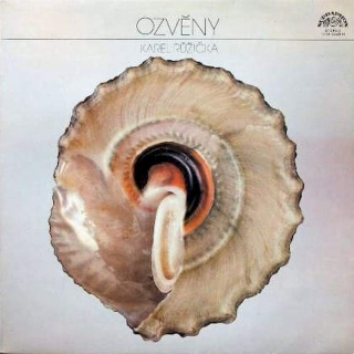 Karel Růžička - Ozvěny - LP / Vinyl