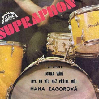 Hana Zagorová - Louka Vábí / Byl To Víc Než Přítel Můj - SP / Vinyl