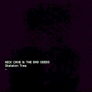 Nick Cave & The Bad Seeds - Skeleton Tree - CD
