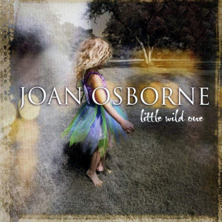 Joan Osborne - Little Wild One - CD