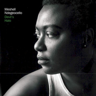 Me'Shell NdegéOcello - Devil's Halo - CD