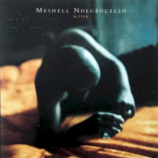 Me'Shell NdegéOcello - Bitter - CD