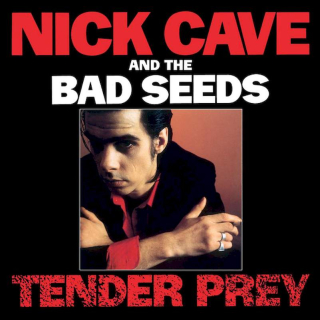 Nick Cave & The Bad Seeds - Tender Prey - CD