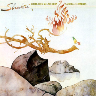 Shakti With John McLaughlin - Natural Elements - CD