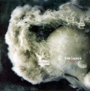 Coalesce - 012:2 - CD