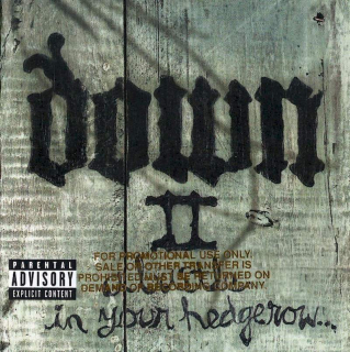 Down - Down II (A Bustle In Your Hedgerow...) - CD