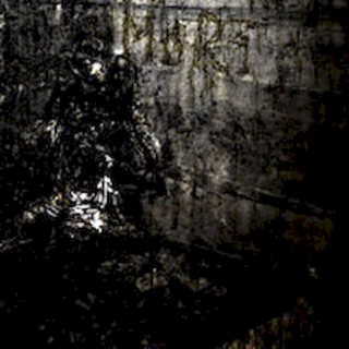 Blut Aus Nord - MoRT - CD