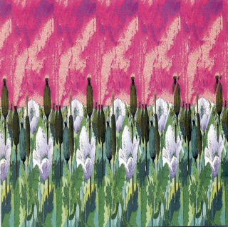 Tichá Dohoda - La Décadance - CD