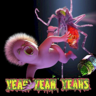 Yeah Yeah Yeahs - Mosquito - CD