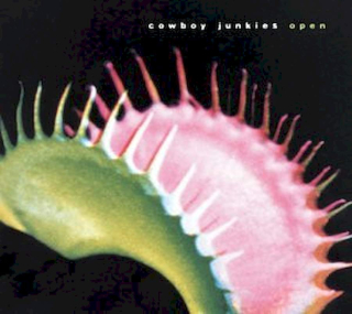 Cowboy Junkies - Open - CD