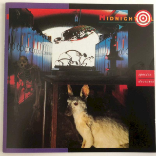Midnight Oil - Species Deceases - CD