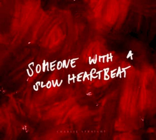 Charlie Straight - Someone With A Slow Heartbeat - CD