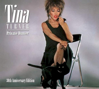 Tina Turner - Private Dancer - CD