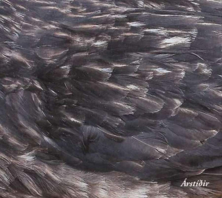 Árstí?ir - Árstí?ir - CD