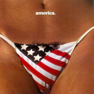 The Black Crowes - Amorica - CD