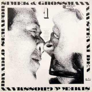 Šimek & Grossmann - Návštěvní Den 1  - LP