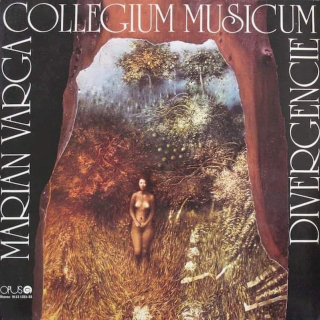 Marián Varga, Collegium Musicum - Divergencie - LP / vinyl