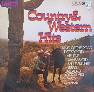 Various - Country & Western Hits - LP / vinyl