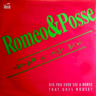 Romeo & Posse - Mustang Hip House Rock  - SP / Vinyl