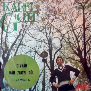 Karel Gott - Dívkám / Mám Zlatej Důl  - SP / Vinyl