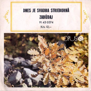 Zora Kolínska - Dnes Je Svadba Strieborná / Zabúdaj  - SP / Vinyl