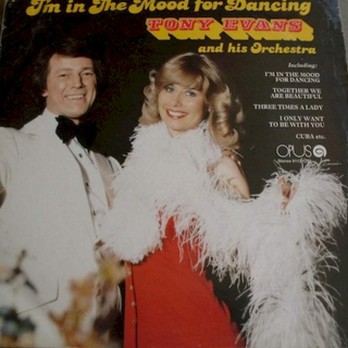 The Tony Evans Orchestra - I'm In The Mood For Dancing - LP / Vinyl