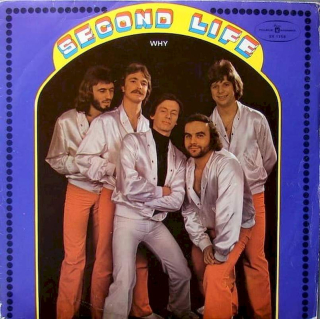 Second Life - Why - LP / Vinyl
