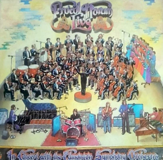 Procol Harum, Edmonton Symphony Orchestra - Procol Harum Live In Concert With The Edmonton Symphony Orchestra - LP / Vinyl