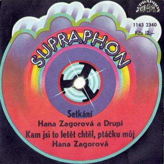 Hana Zagorová A Drupi - Setkání / Kam Jsi To Letět Chtěl, Ptáčku Můj - SP / Vinyl